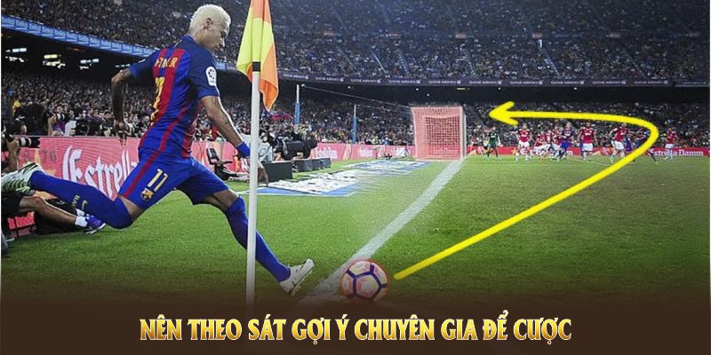Nên theo sát gợi ý chuyên gia để cược có hiệu quả  